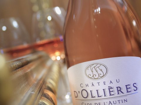 chateau dollieres 29